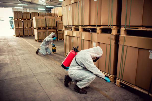 Best Flea Control Services  in Forestde, AL