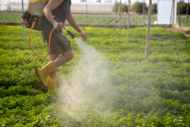 Best Affordable Exterminators  in Forestde, AL