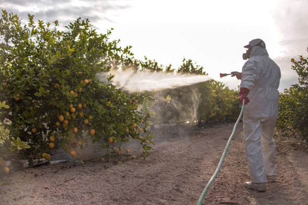 Best Mosquito Control Services  in Forestde, AL