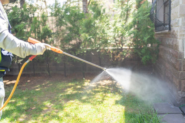 Best Pest Inspection Near Me  in Forestde, AL