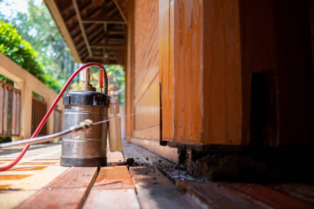 Best Exterminator Services  in Forestde, AL