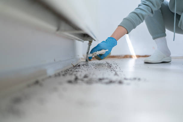 Best Affordable Pest Control Services  in Forestde, AL