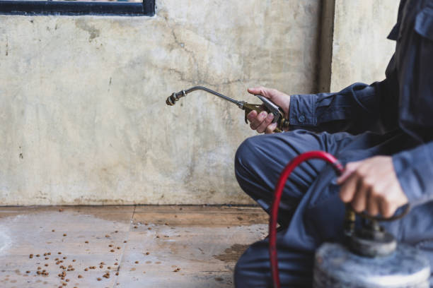 Best Residential Pest Control  in Forestde, AL