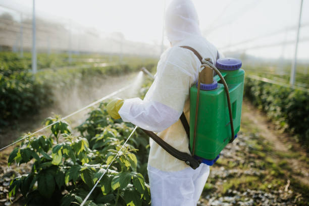Best Best Pest Control Companies  in Forestde, AL